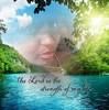 kevin_lamont